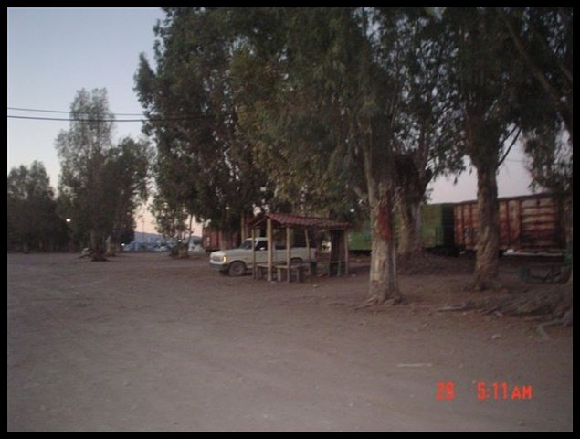 Calles y Colonias
